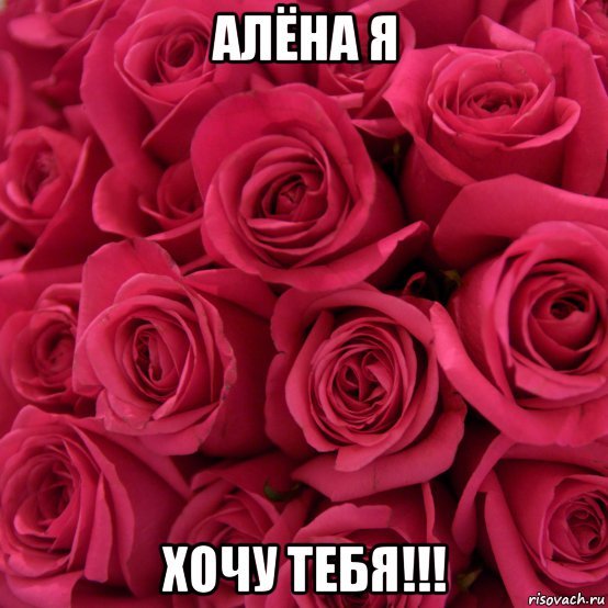 Алёна я хочу тебя