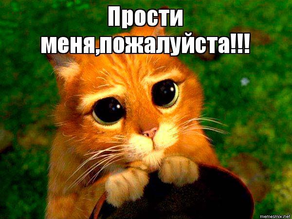 Прости меня пожалуйста