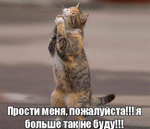 Простите меня я больше так не буду