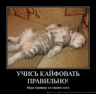 Кайфуем прикол