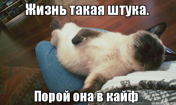 Жизнь смешная штука