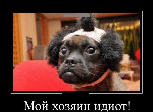 Дебил дебил