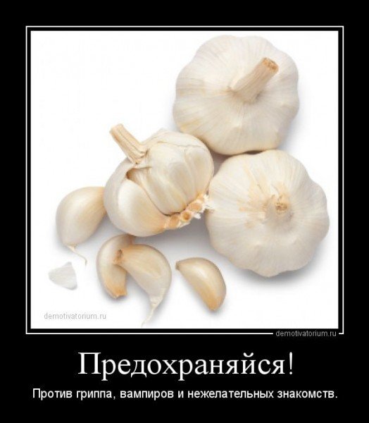Шутки про чеснок