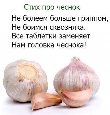 Стишок про чеснок