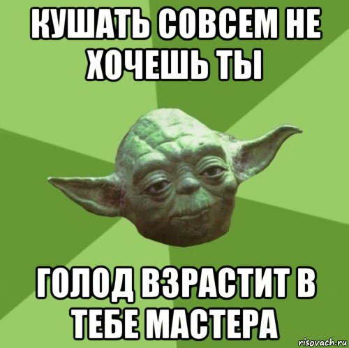 Смешные рыжие коты с надписями