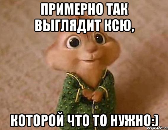 Ксюша картинки прикольные