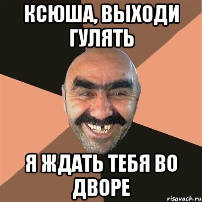 Выходи гулять Мем