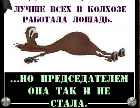 В колхозе больше всех работала лошадь