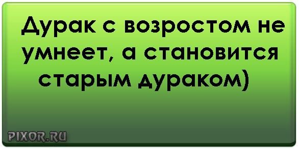 Прикольные картинки про дураков с надписями