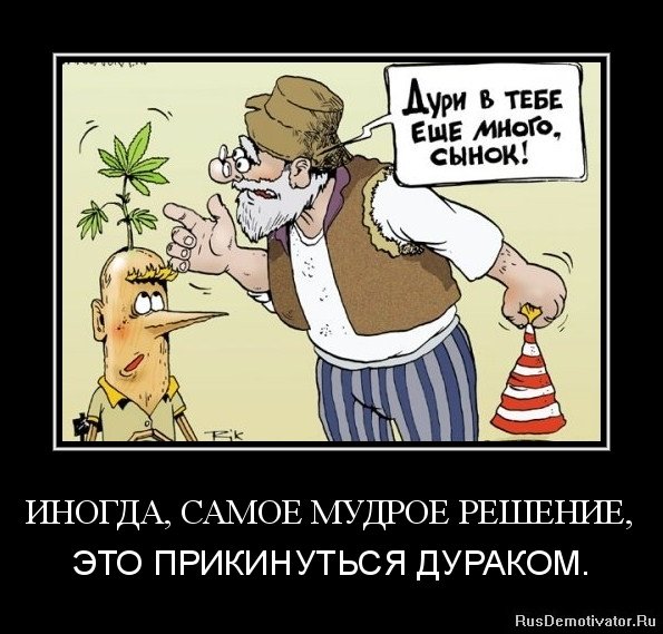 Юмор про дураков картинки