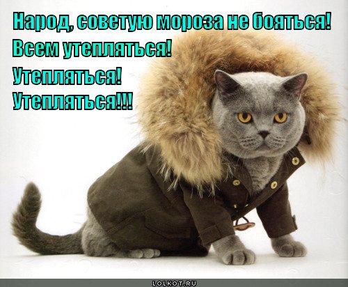 Холодно пора утепляться
