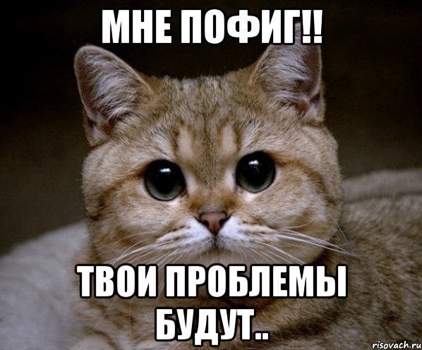 Че зыришь