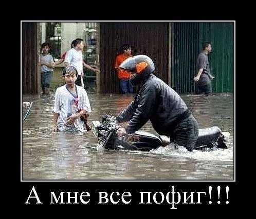 Картинки пофиг с приколом