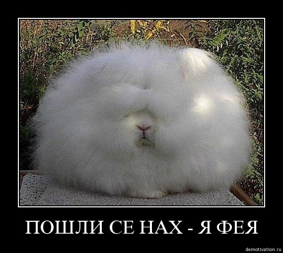 Белый и пушистый человек