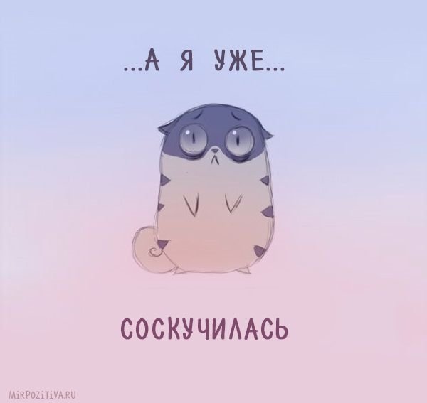 Я уже соскучилась