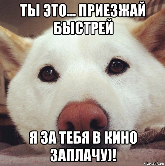 Приезжай быстрее картинки