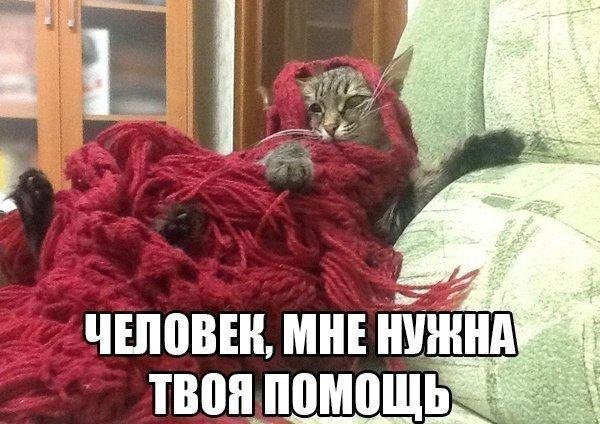 Человек мне нужна твоя помощь
