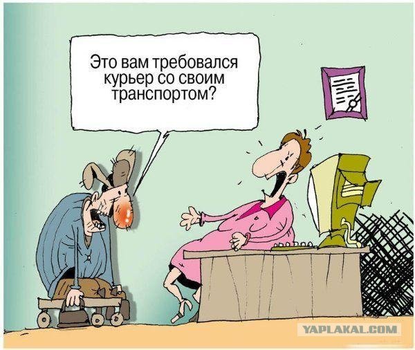 Шутки про курьеров