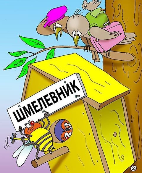 Скворечник карикатура