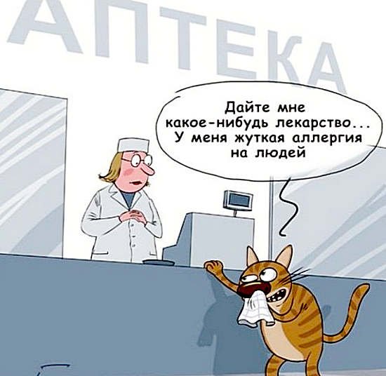 Аллергия юмор
