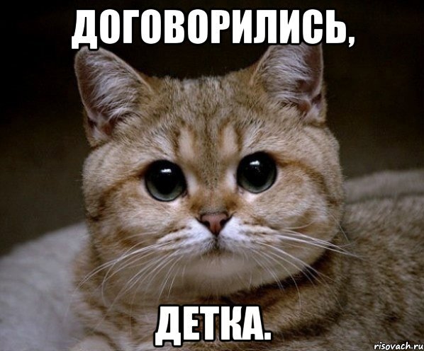 Договорились мемы