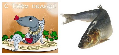 Сельдь смешная
