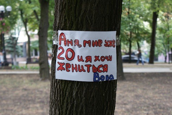 Приколы про Аню в картинках