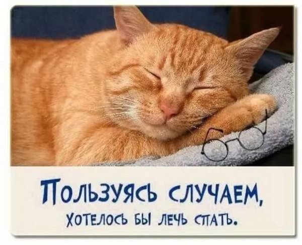 Спокойной ночи картинки смешные с надписями