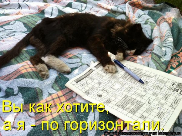 Прикольные животные с надписями спокойной ночи