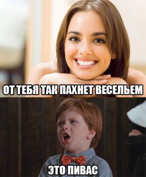 Самые маленькие служебные собаки