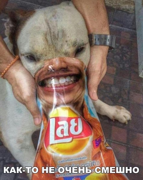 Посетители зоопарка ласково зовут его Владимир Владимирович