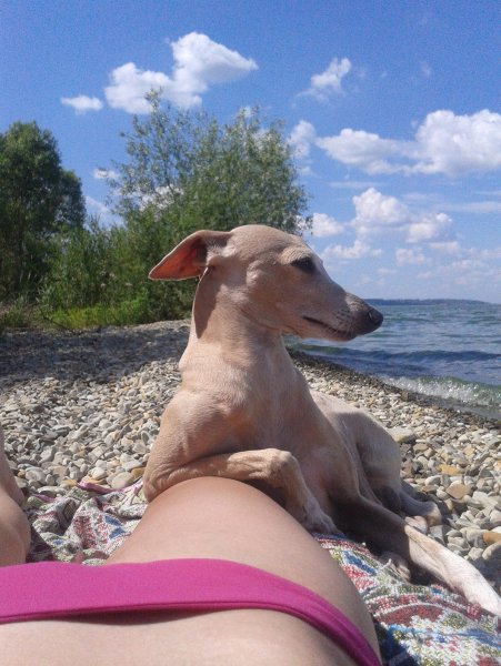 Приколы из жизни