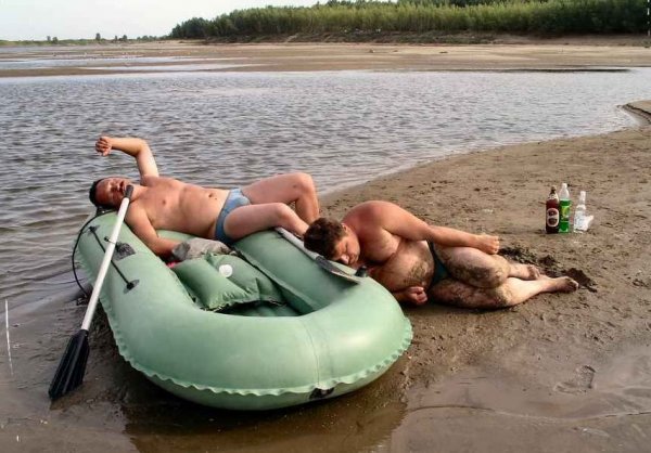 Смешные котики с надписями