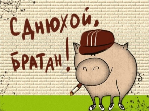 Смешные поздравления с днем рождения