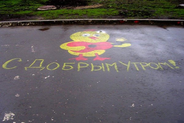 Доброе утро на асфальте