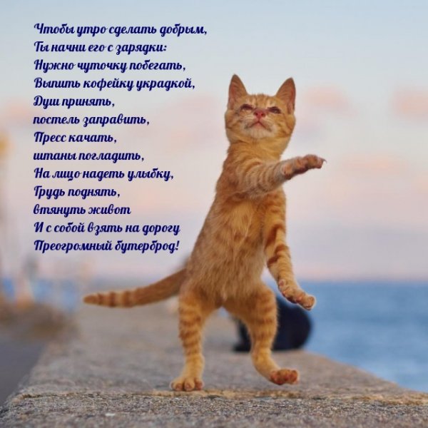 Раннее утро картинки с надписями