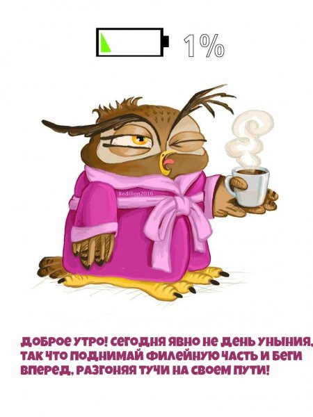 Доброе утро с юмором