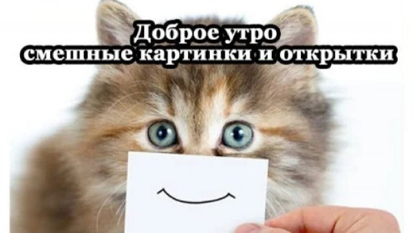Доброе утро смешно до слез