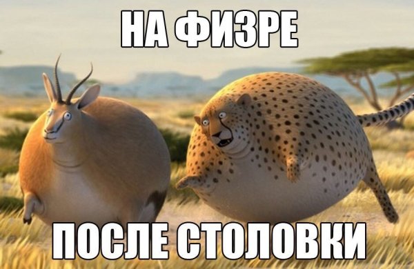 Круглые животные