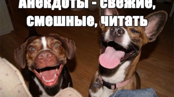 Картинки с др ржачные до слез