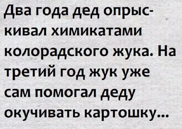 Смешные анекдоты с надписями