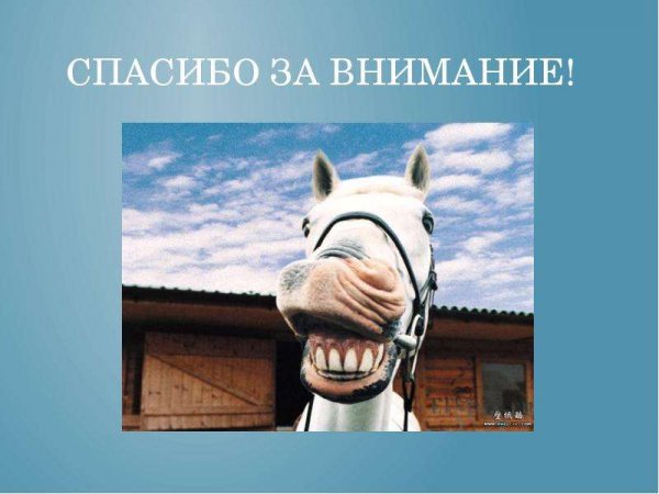 Спасибо за внимание