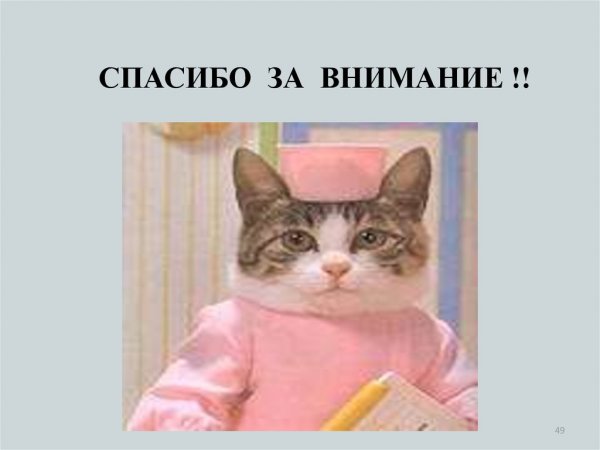 Спасибо за внимание гот