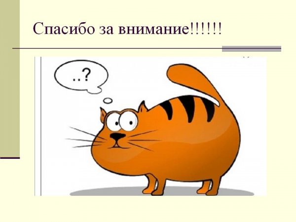 Спасибо за внимание смешные картинки