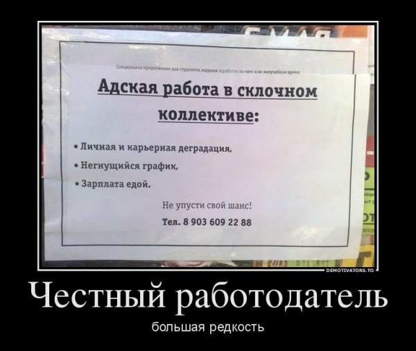 Приколы про работу