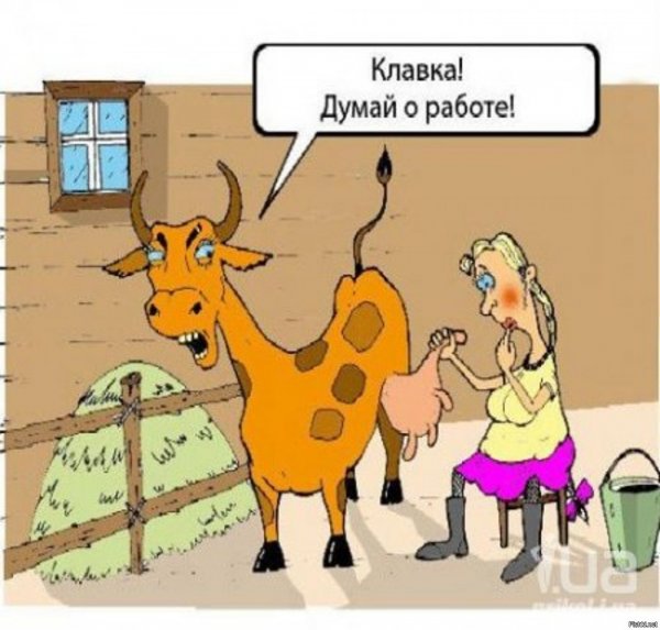 Думай о работе прикол