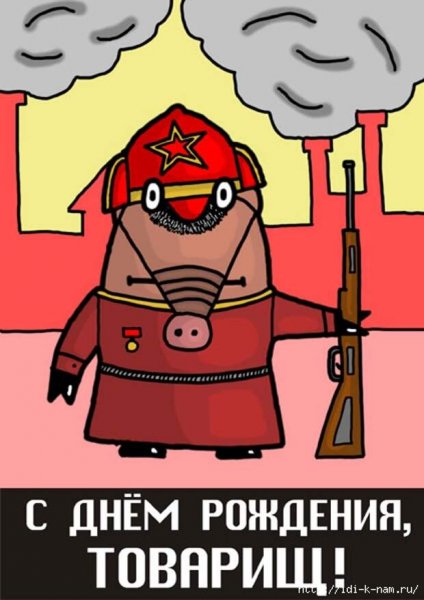С днем рождения кот