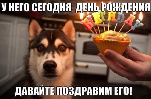 Крутая картинка с др