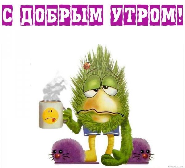 С добрым утром прикол