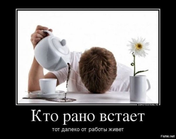 Демотиваторы с добрым утром